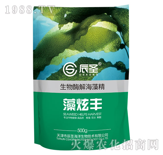 �����S���徫-��ʥ����