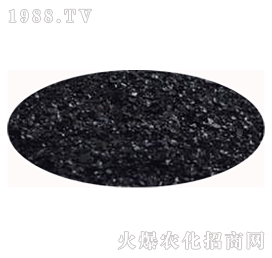 �VԴ�S�����-�͌�����