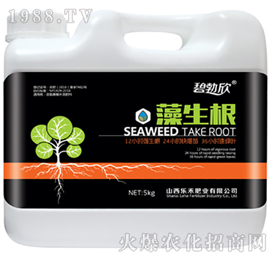 ������-��(l��)��