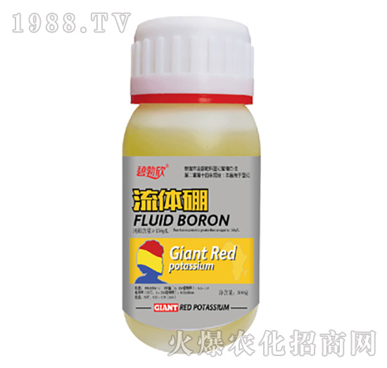 ���w��-��(l��)��