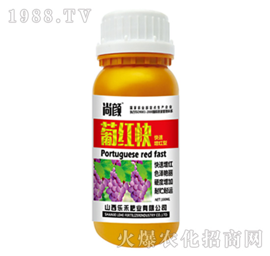 ����ϼt��-��(l��)��