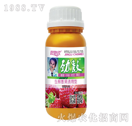 �ŹĲ�ݮ����-��(l��)��