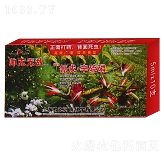 50%���졤������-����-��Gֲ��