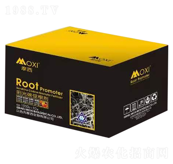 ꖹ�̼�ٸ������䣩-Ħ��-�۹��Է