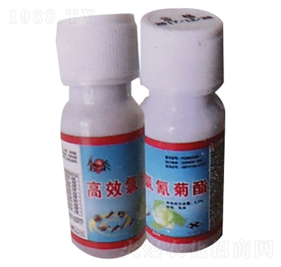 ��Ч�������ȫ��-��Gֲ��