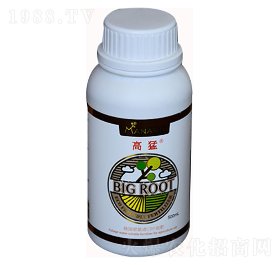 ����-��������