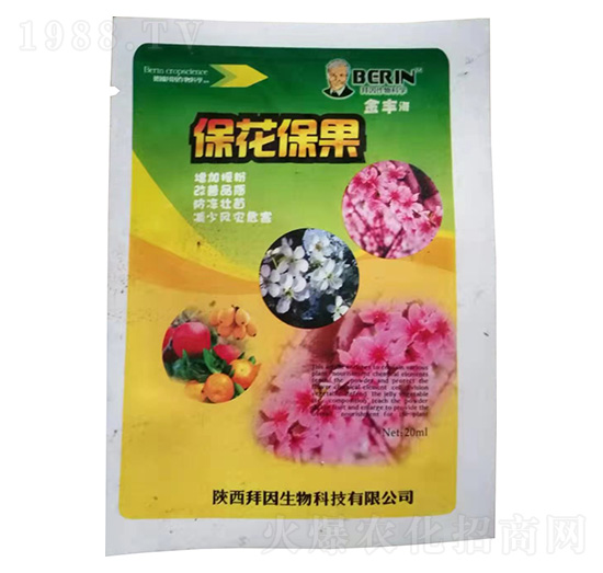 ��������-��������