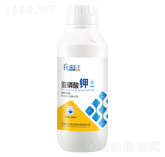 �������0-525-350+TE-���S-��Gֲ��