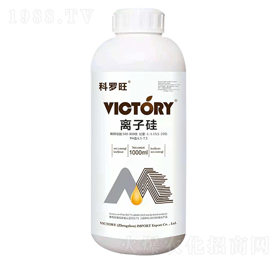 �x�ӹ�-���_��-�S������