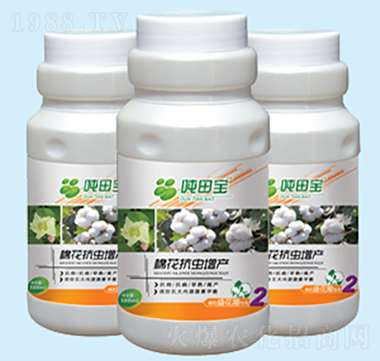 �޻�ʢ���ڌ�(zhu��n)����-���-�����S��