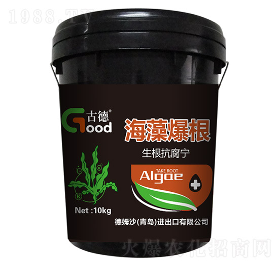 �������������屬��-��ķɳ