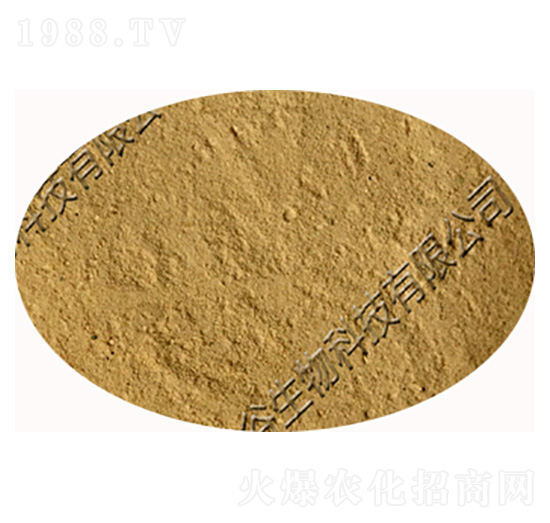 �����ѿ�ߗU��-�������