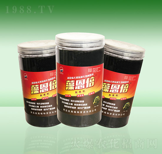 ����������徫-���u����