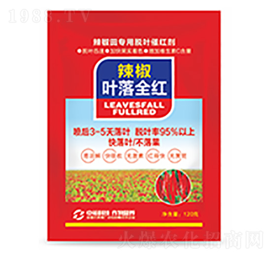 �����~��ȫ�t-�����Ƽ�