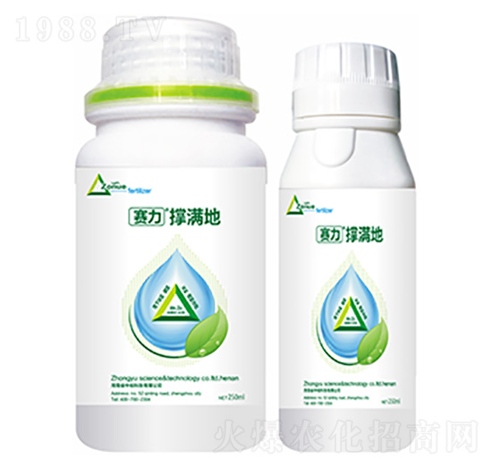 �ΝM��-�����Ƽ�