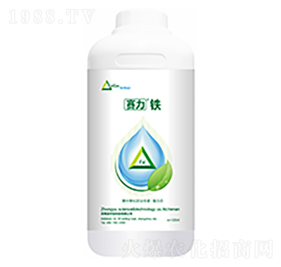 ِ���F-�����Ƽ�