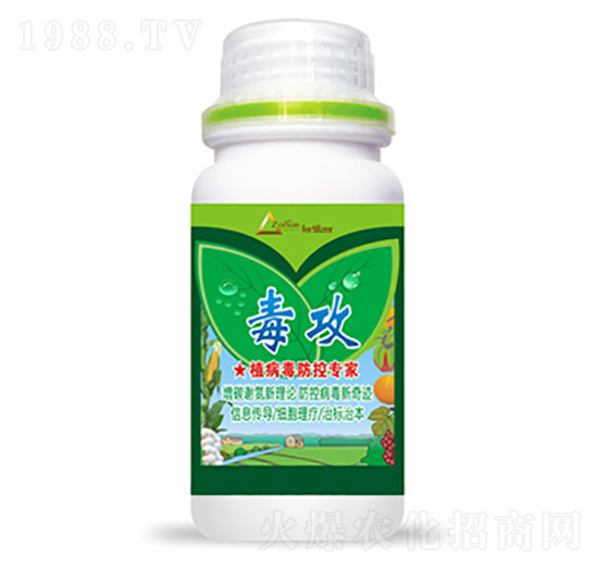 ����-�����Ƽ�