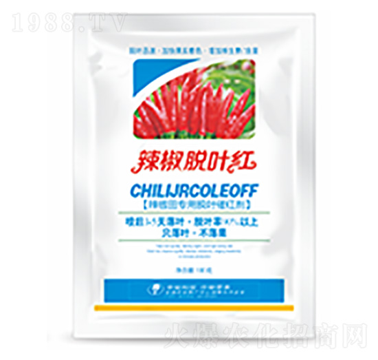 ����Ó�~�t-�����Ƽ�