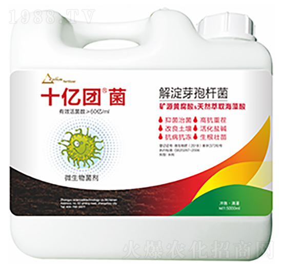 ���ѿ�ߗU��-ʮ�|�F(tu��n)��-�����Ƽ�