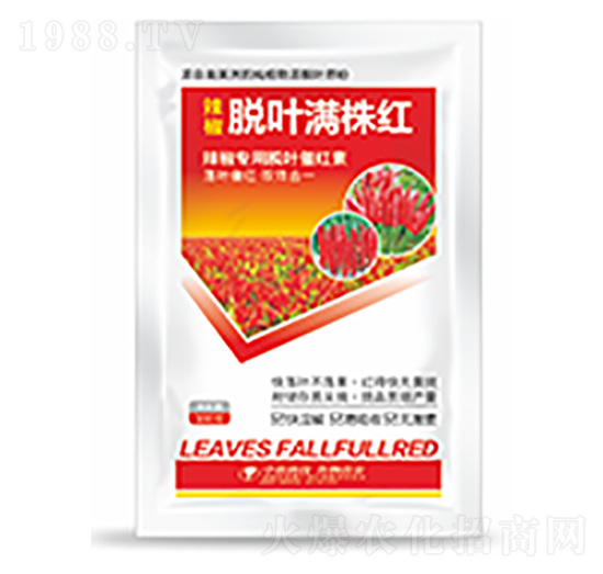 Ó�~�M��t-�����Ƽ�