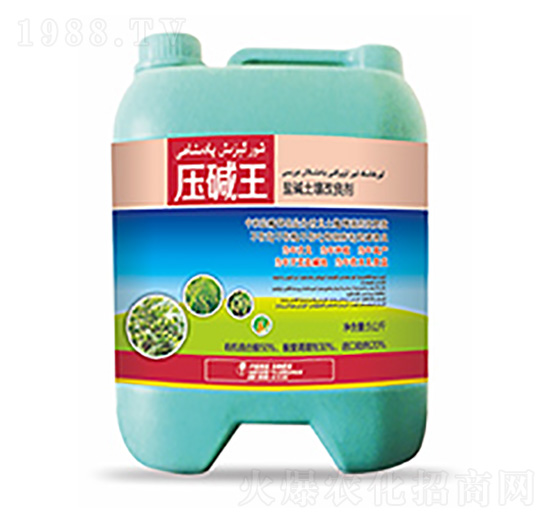 �}�A����������-���A��-�����Ƽ�