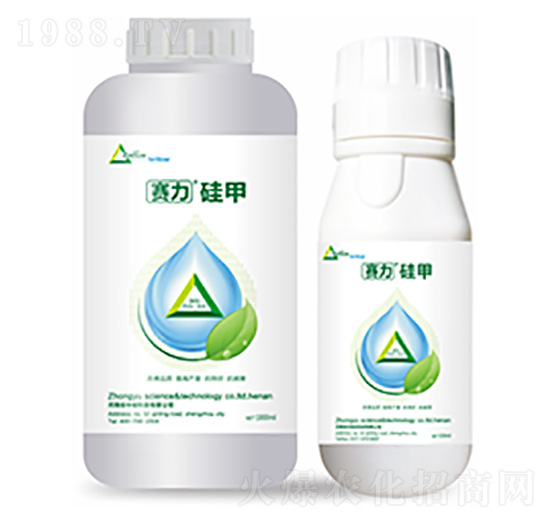 ِ�����-��ԣ�Ƽ�