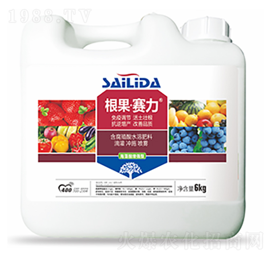 ����ِ��-�����Ƽ�