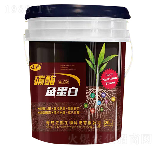 ̼ø�~����-����