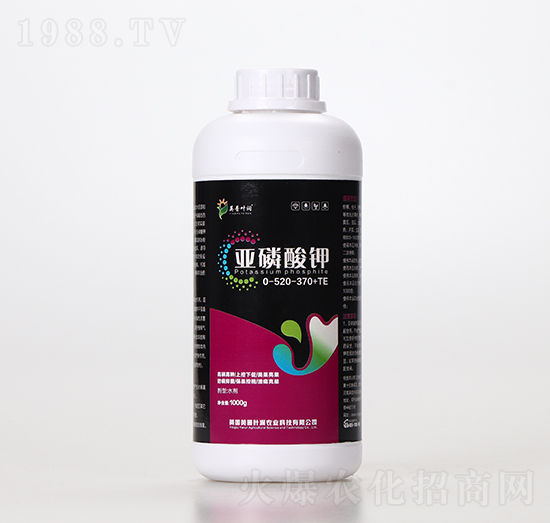 �������-Ӣ���~��