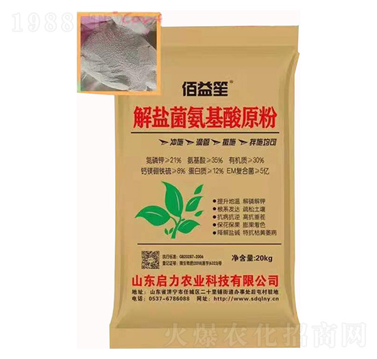 ���}��������ԭ��-������-����