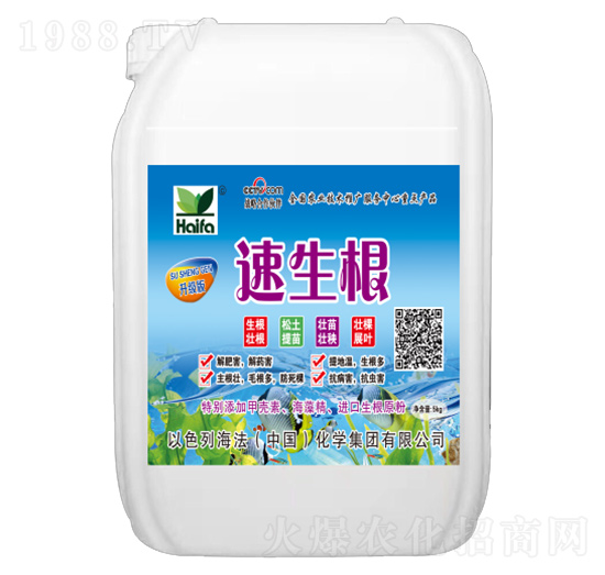 ������-����