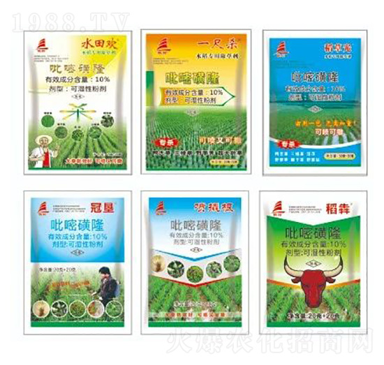 10%���׻��������M��������-ϲ�S��