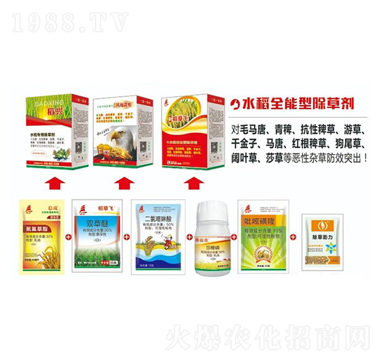 ˮ��ȫ���ͳ��݄�-���d-ϲ�S��