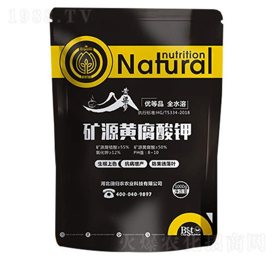 �VԴ�S�����-�S����-�����r�I(y��)