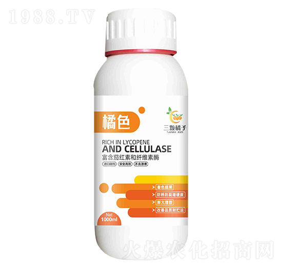 ��ɫ-���w����