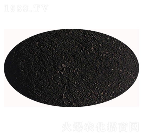 ������ֲ��-ʥ��һ��