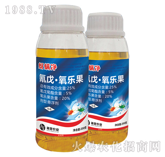 25%���졤������-������-���