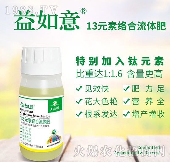 13Ԫ�ؽj(lu��)�����w��-������-��������