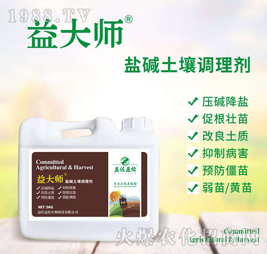 �}�A�����{(di��o)�턩-���-��������