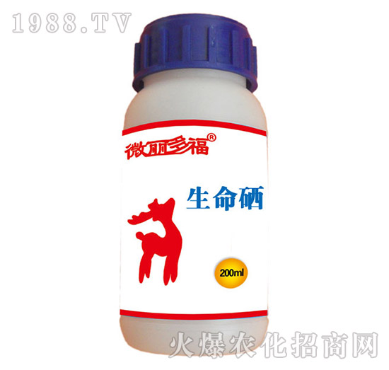 ������-΢���ร