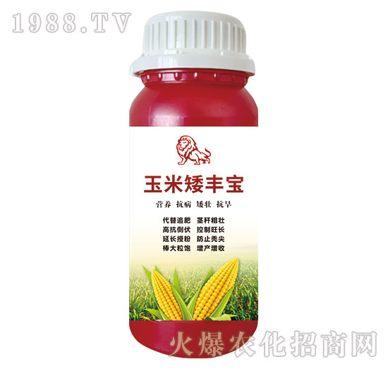 ���װ��S��-嫪{�r(n��ng)�I(y��)