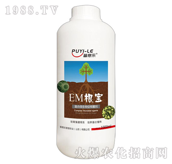 ��(f��)��΢����ٸ�����-EM����-���ט�