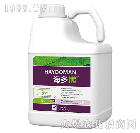 �}�V�̼��أ�5L��-�����M