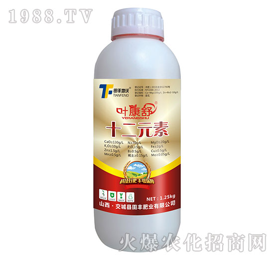 ʮ��Ԫ��-�~����-���S����