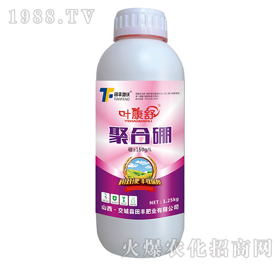 �ۺ���-�~����-���S����