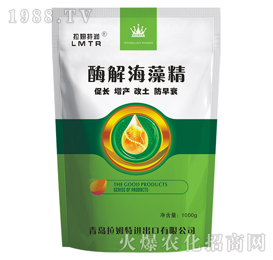 ø�⺣�徫-��ķ�؝�(r��n)