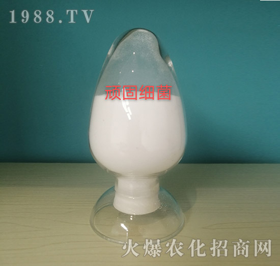 �B�̼�������ԭ��-���o���r�I(y��)