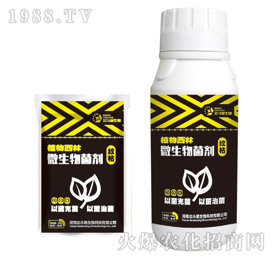 �y�݌���΢�������-ֲ������-������