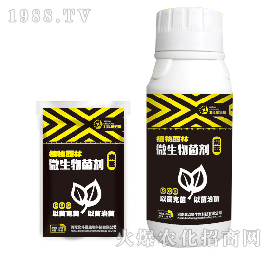 ��������΢�������-ֲ������-������