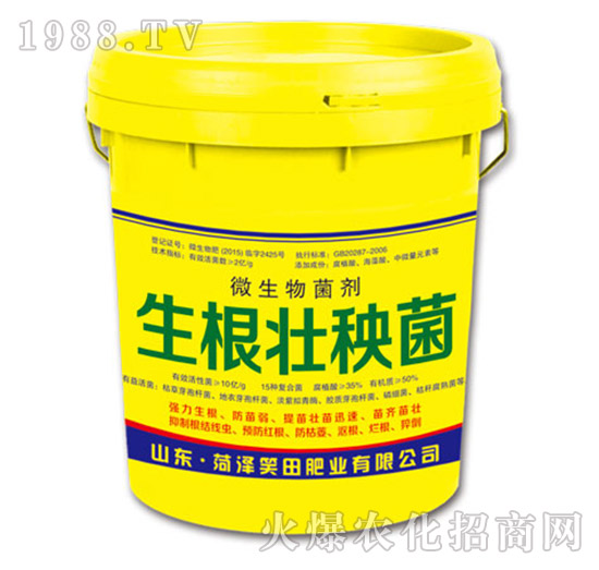 ����������-Ц��